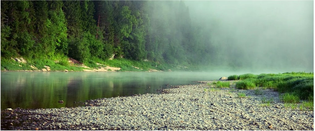 Obraz - Rieka pri lese (120x50 cm)