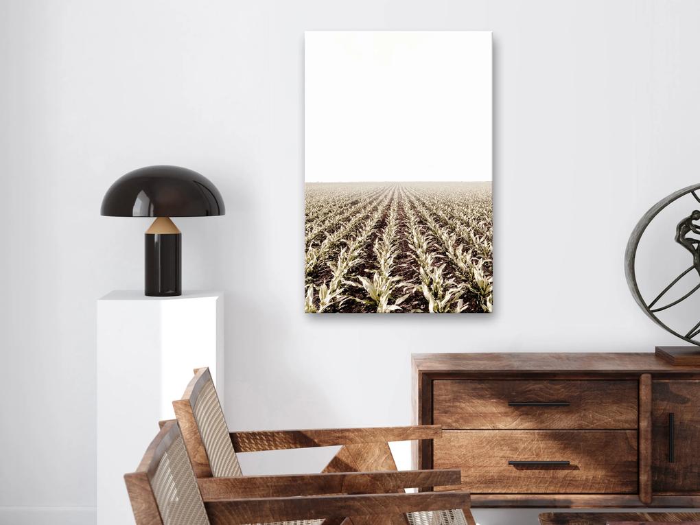 Artgeist Obraz - Corn Field (1 Part) Vertical Veľkosť: 20x30, Verzia: Na talianskom plátne