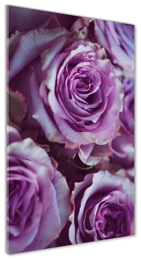 Foto obraz akryl do obývačky Fialové ruže pl-oa-70x140-f-106010688