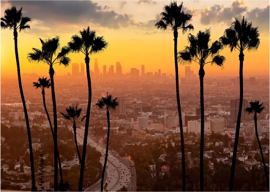 Sklenený obraz - Panorama Los Angeles (70x50 cm)