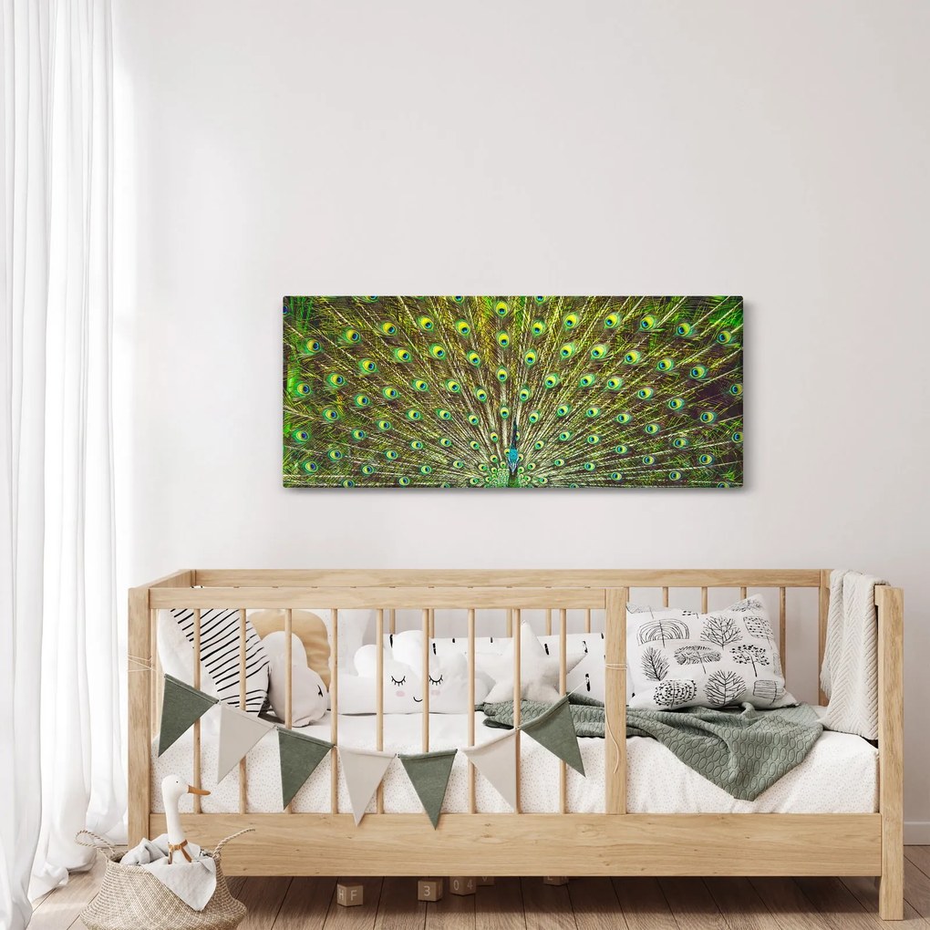 Obraz - Páv (120x50 cm)