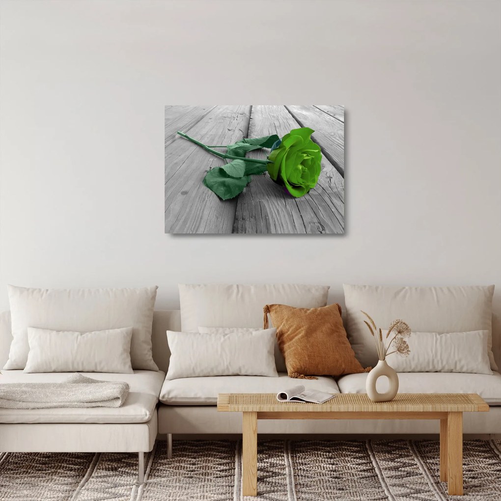 Sklenený obraz - Zelená ruža (70x50 cm)