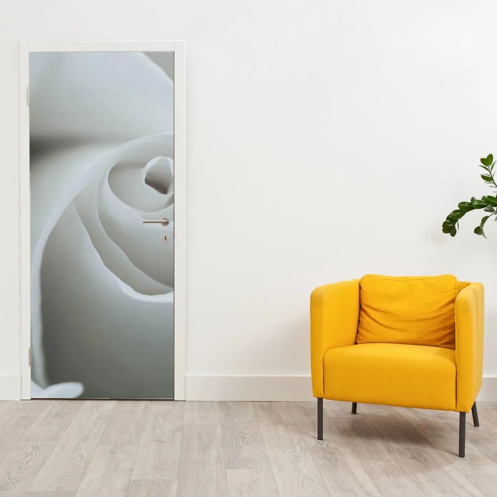 Fototapeta na dvere - Biela ruža (95x205cm)