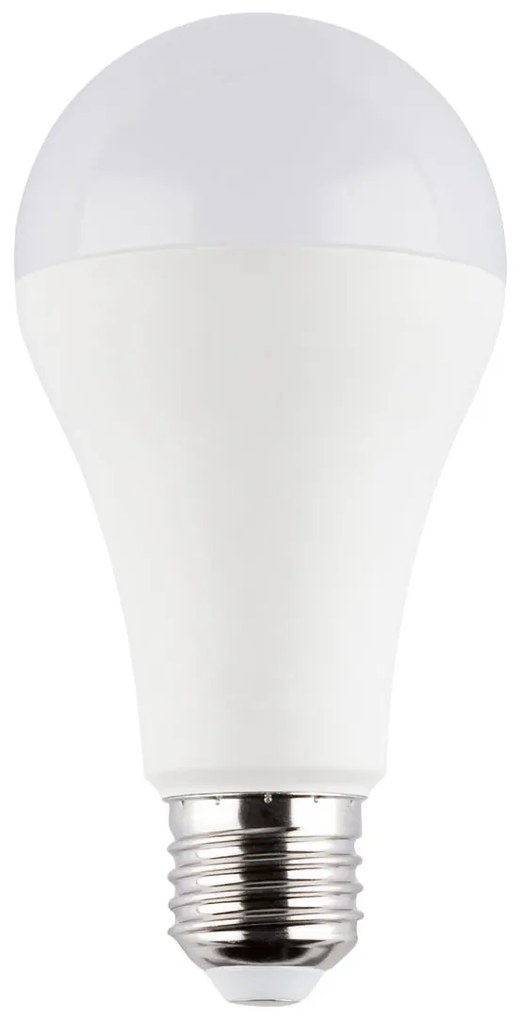 LIVARNO HOME LED žiarovka (studená biela) (100341488)