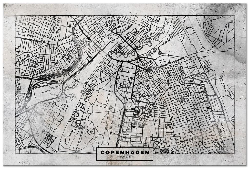 Artgeist Obraz - Copenhagen Plan (1 Part) Wide Veľkosť: 30x20, Verzia: Standard
