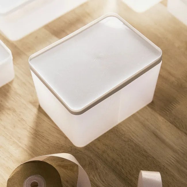 Úložný box GIZMO biely 883403