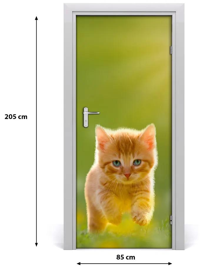 Samolepiace fototapety na dvere červená mačka 85x205 cm