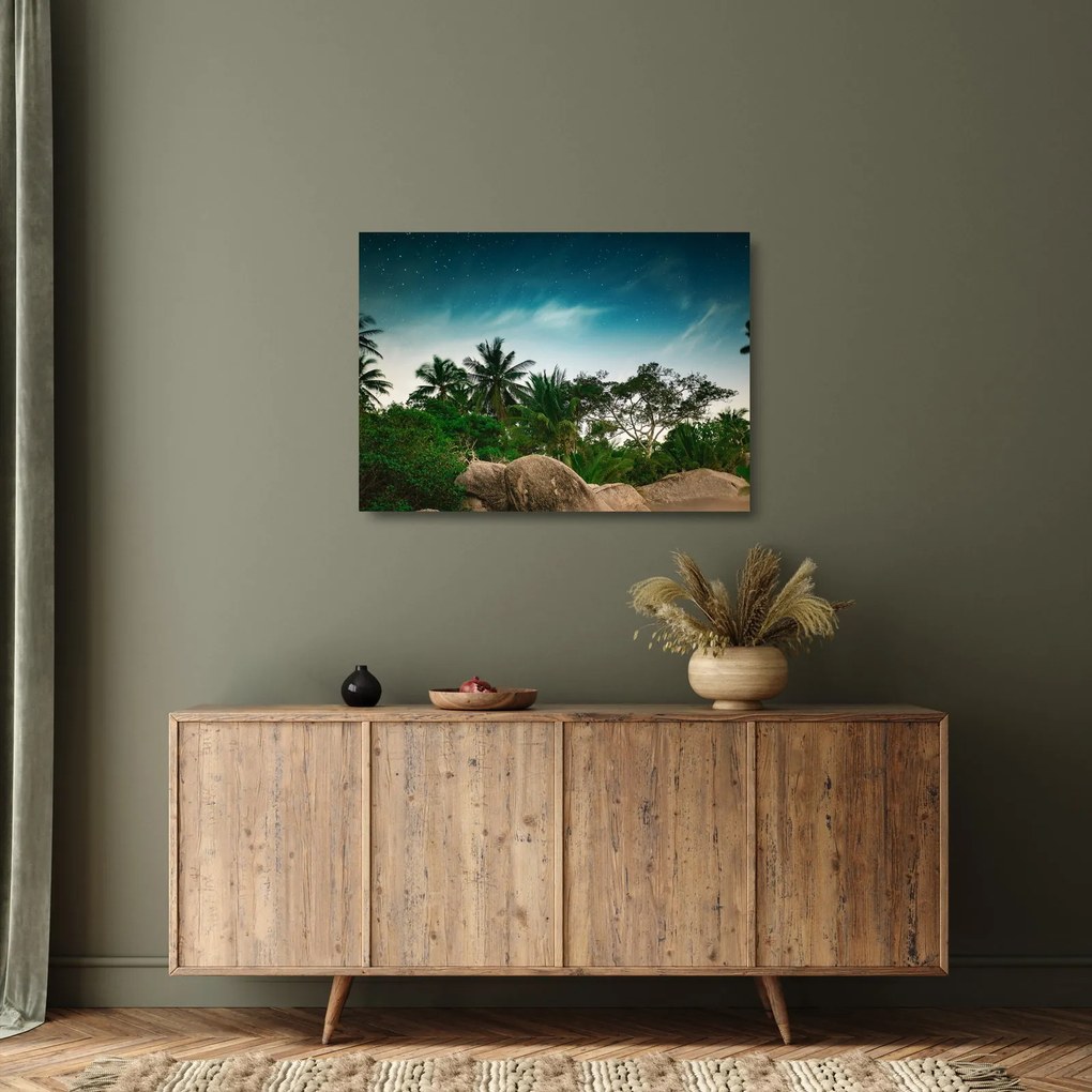 Sklenený obraz - palmy (70x50 cm)
