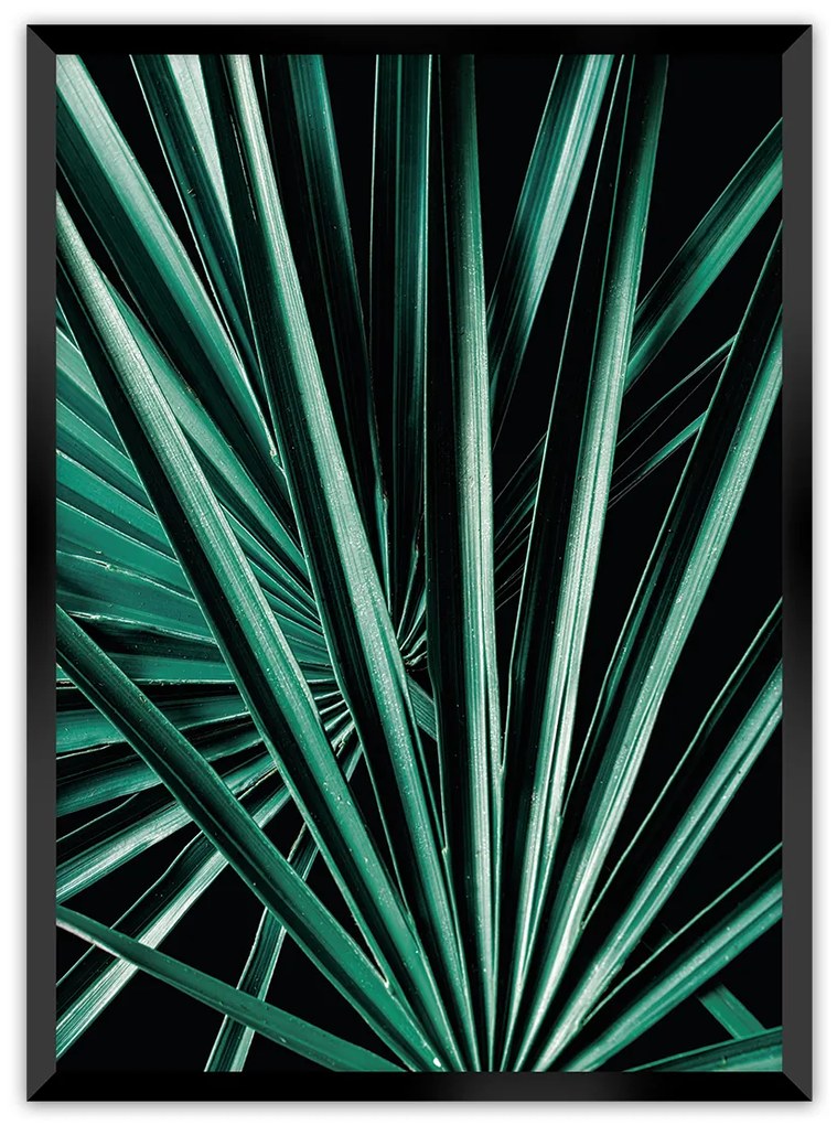Plagát Dark Palm Tree
