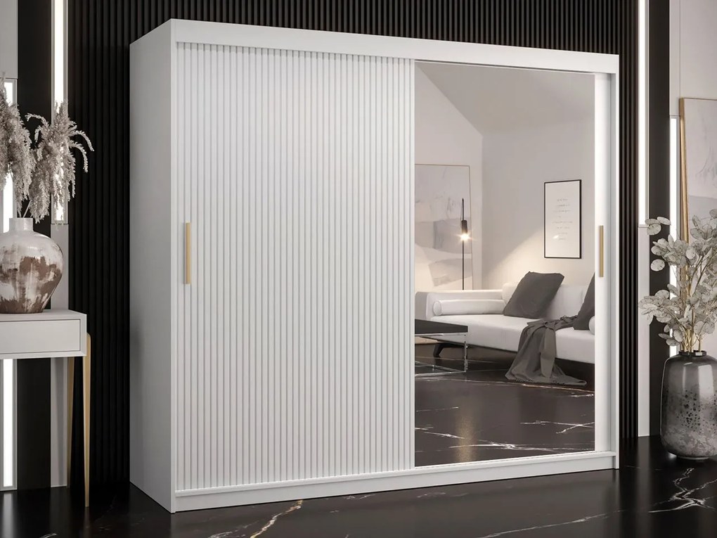 Šatníková skriňa so zrkadlom Towiro Slim 2 200, Farby: čierna