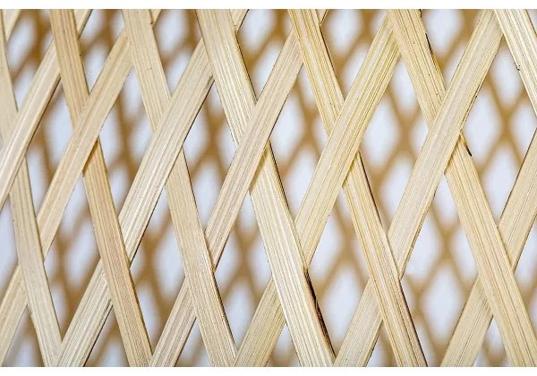 Rabalux 72025 - Luster na lanku RATTAN 1xE27/25W/230V ratan