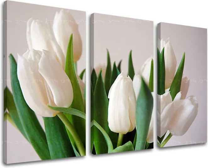 Obraz na stenu 3 dielny KVETY XOBKV108E30 - 60x40 cm