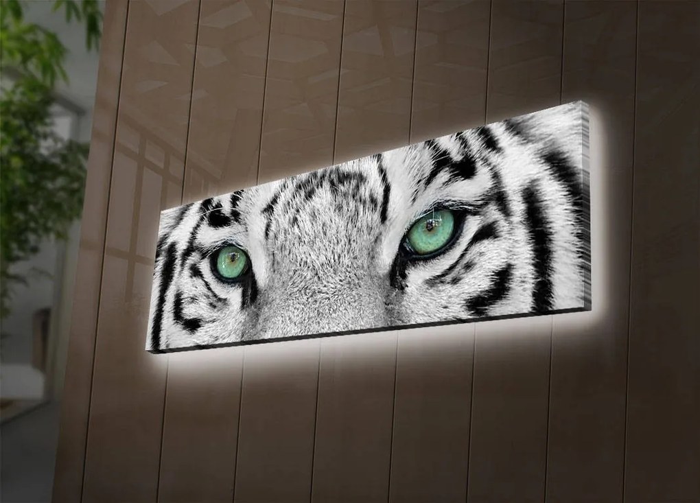 Obraz s led osvetlením White Tiger 90x30 cm