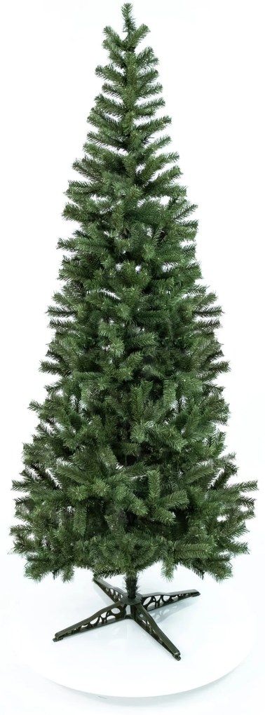 Limpol Jedľa Karolina 2,20 m