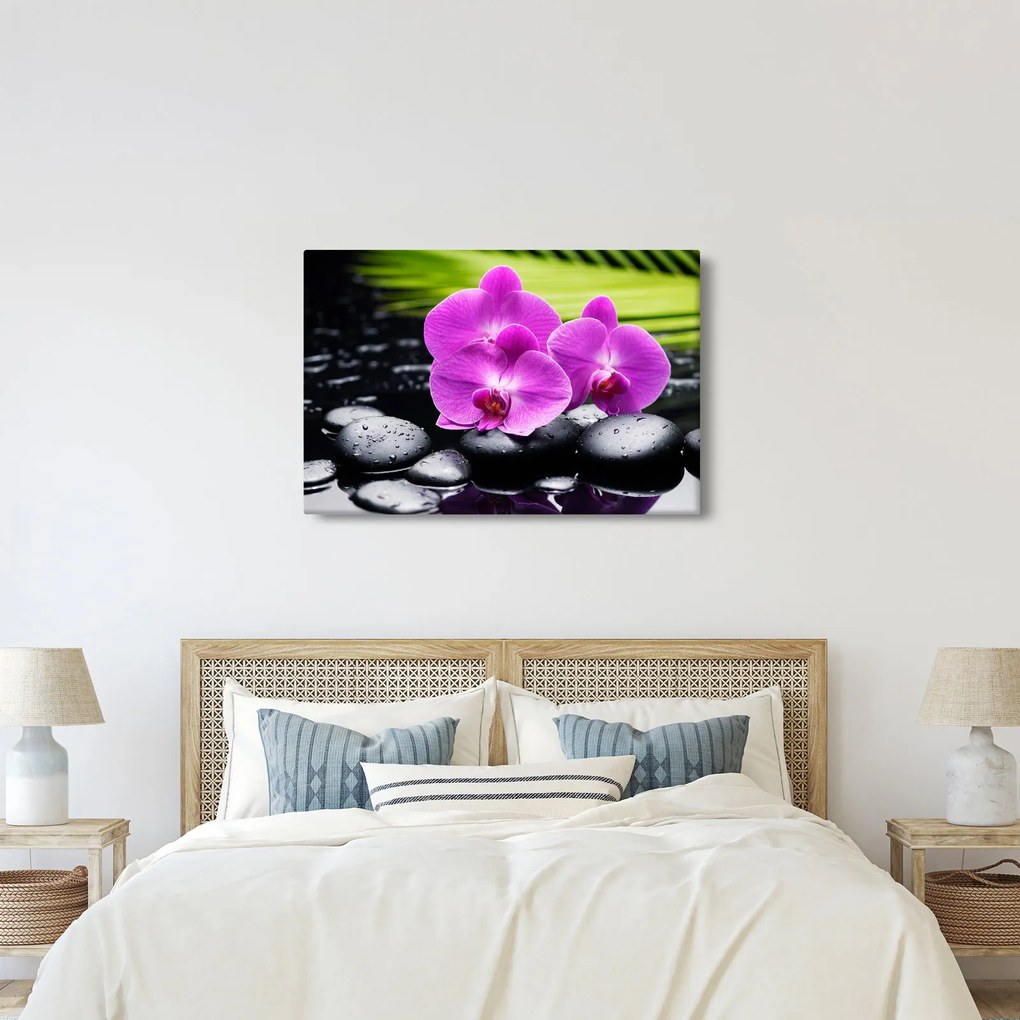 Obraz - Orchidey (90x60 cm)