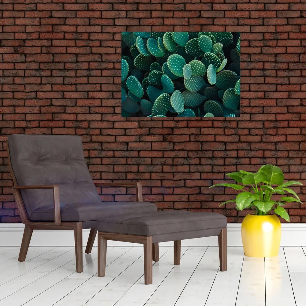 Sklenený obraz - Opuncie (70x50 cm)