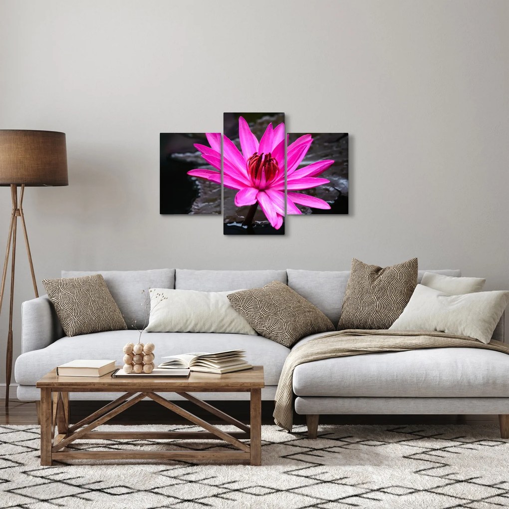 Obraz - ružový kvet (90x60 cm)