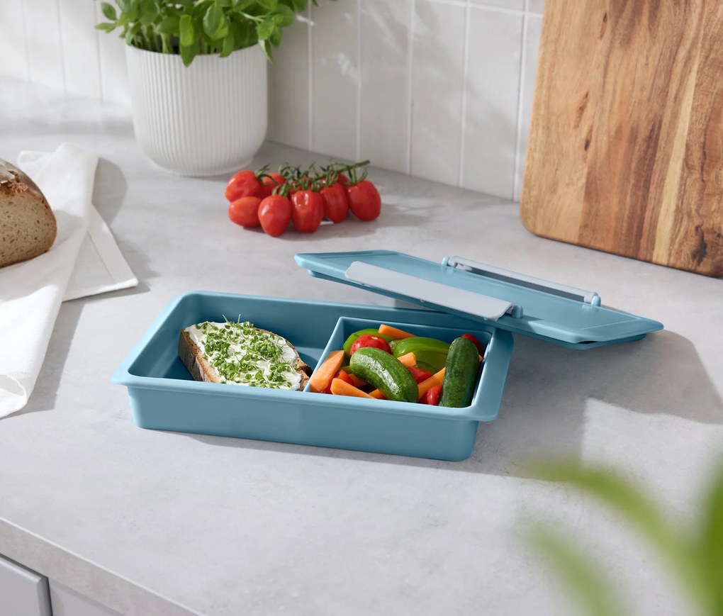 Plochý obedový box