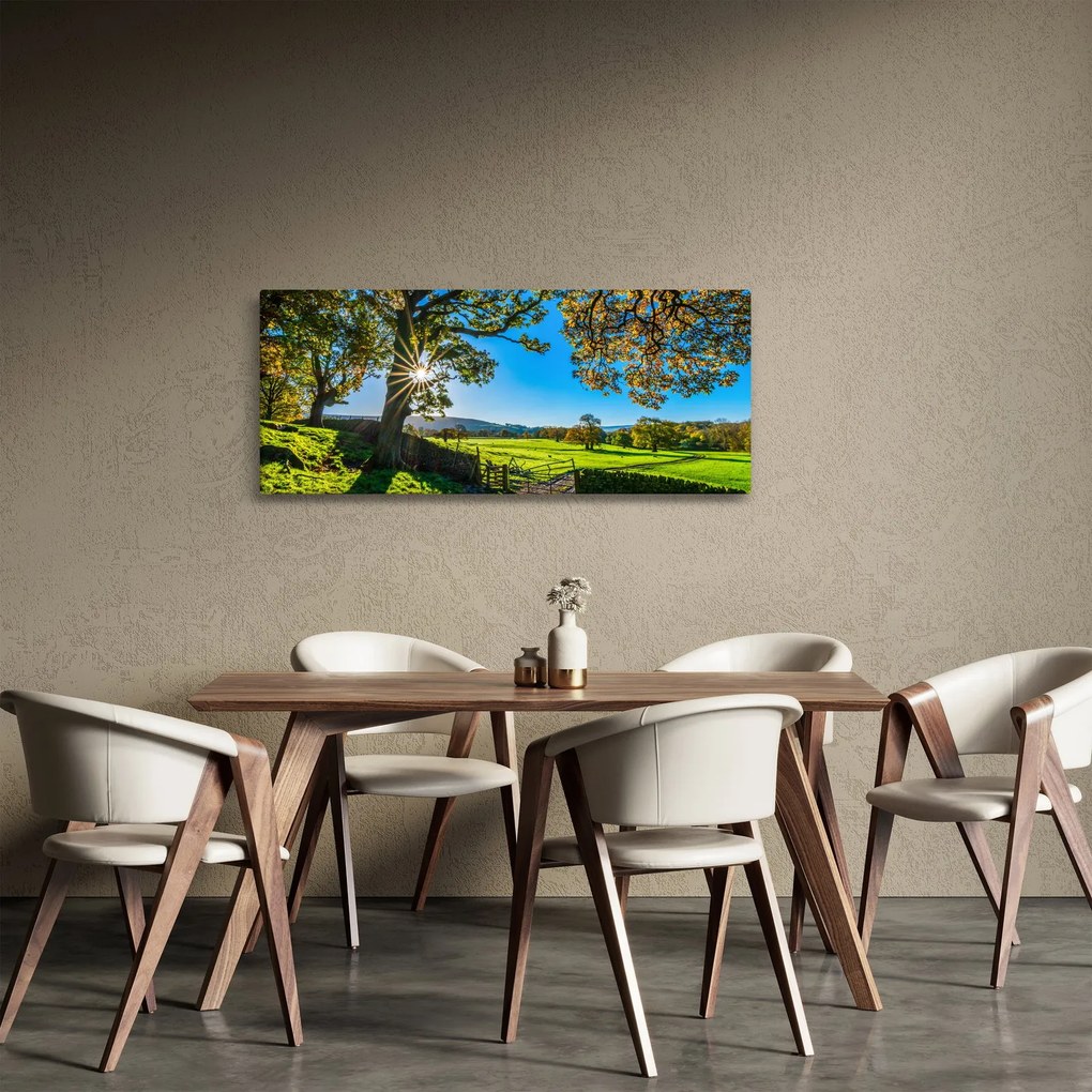 Obraz - Výhľad na pole (120x50 cm)