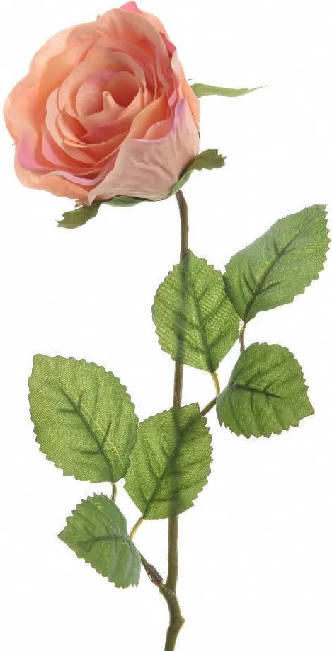 XXXLutz RUŽA 45 cm - Kvety & kvetináče - 003754999744
