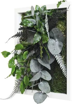Obraz z rastlín styleGREEN Džungľa 22x22cm