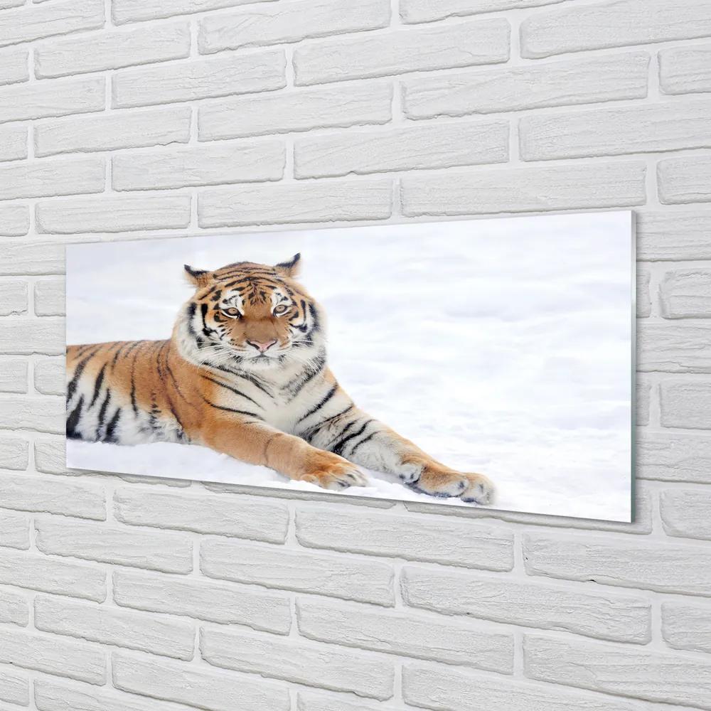 Obraz na akrylátovom skle Tiger winter 120x60 cm