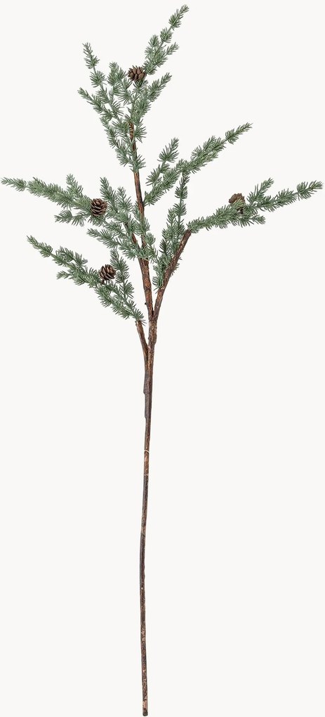 Rastlinná dekorácia Pine