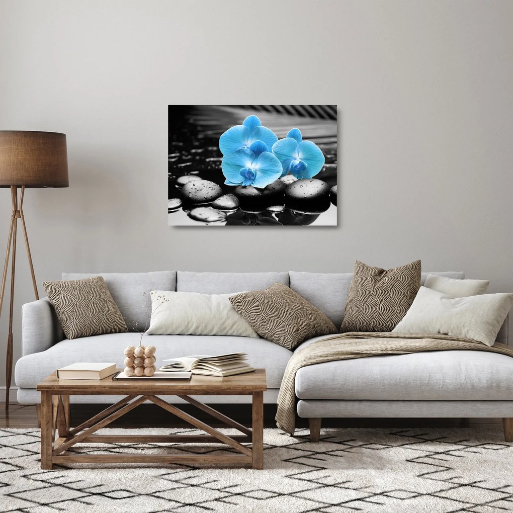 Sklenený obraz - Modrá orchidea (70x50 cm)