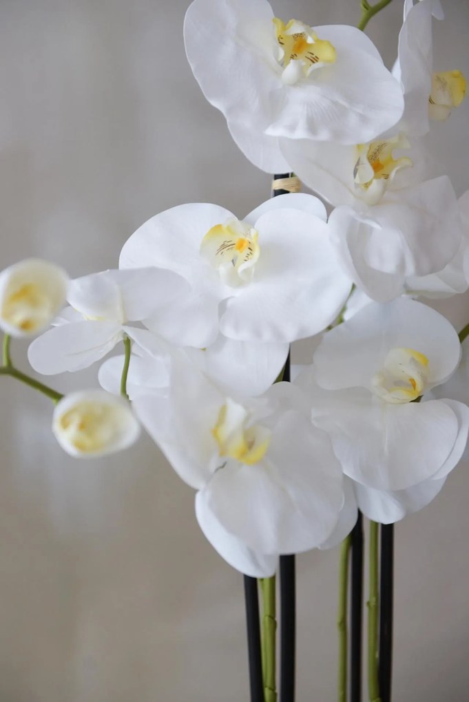 Umelá orchidea ORCHIDELIS, plast, výška 87 cm, biela