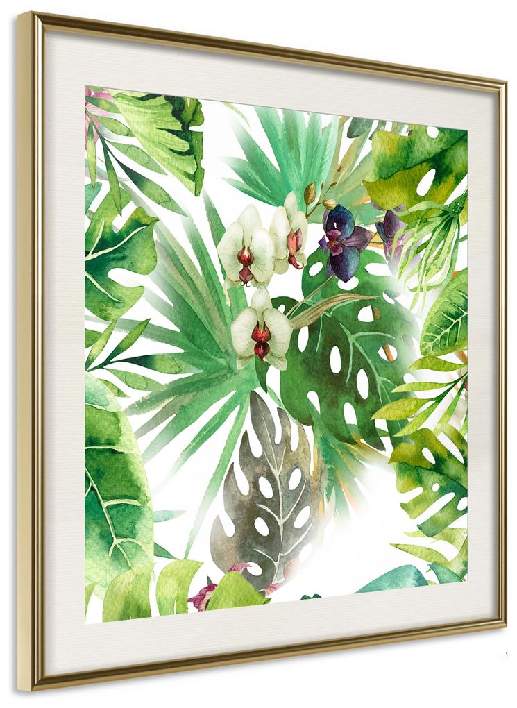 Artgeist Plagát - Tropical Shadow (Square) [Poster] Veľkosť: 20x20, Verzia: Čierny rám s passe-partout