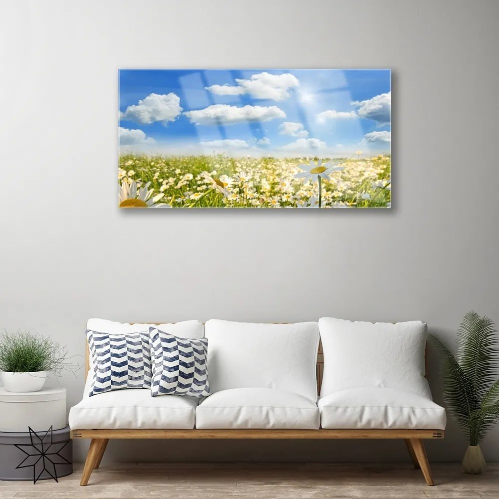Skleneny obraz Lúka sedmokrásky príroda 120x60 cm