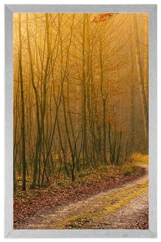 Plagát cestička do lesa - 20x30 silver