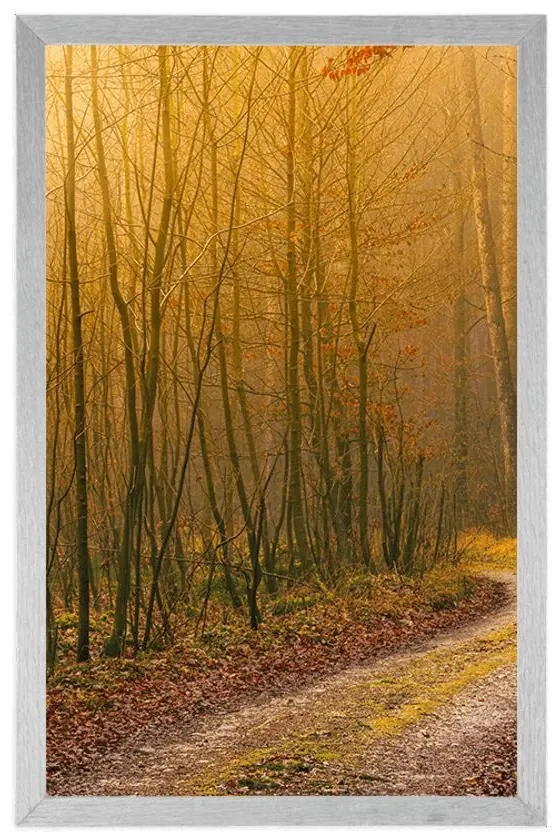 Plagát cestička do lesa - 60x90 black