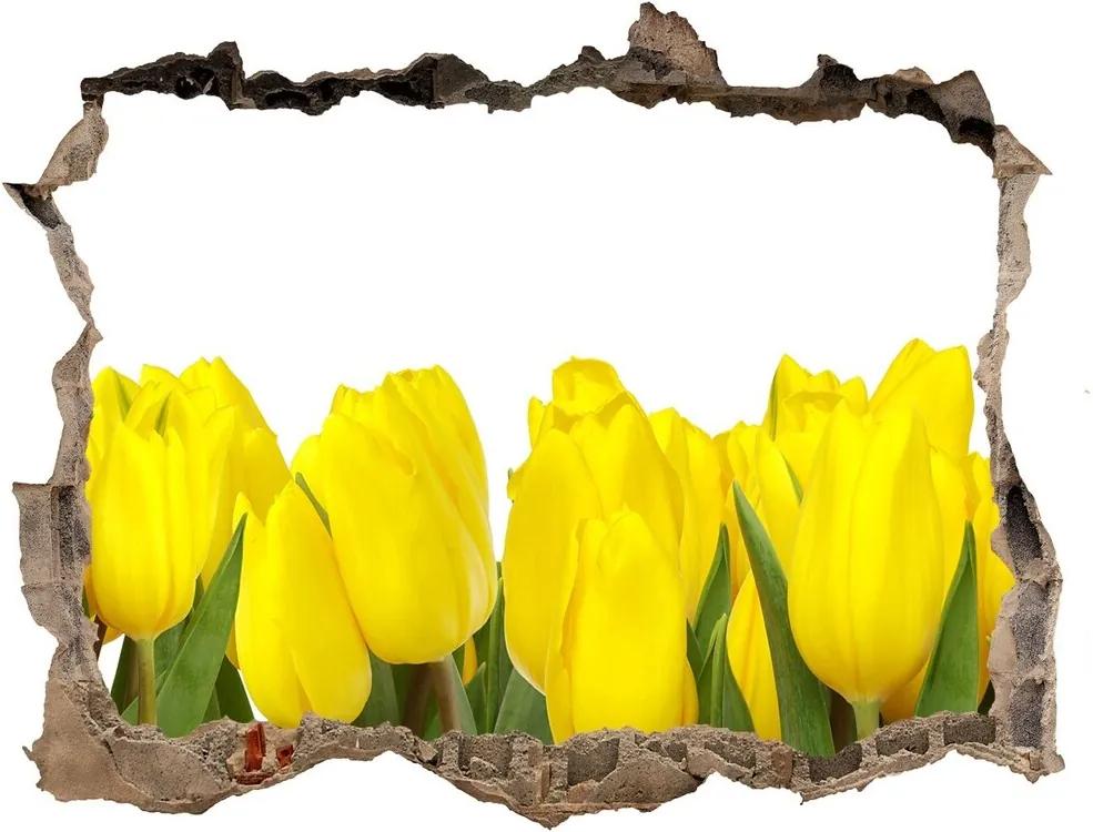 Samolepící nálepka fototapeta Žluté tulipány WallHole-95x64-kamien-2665979
