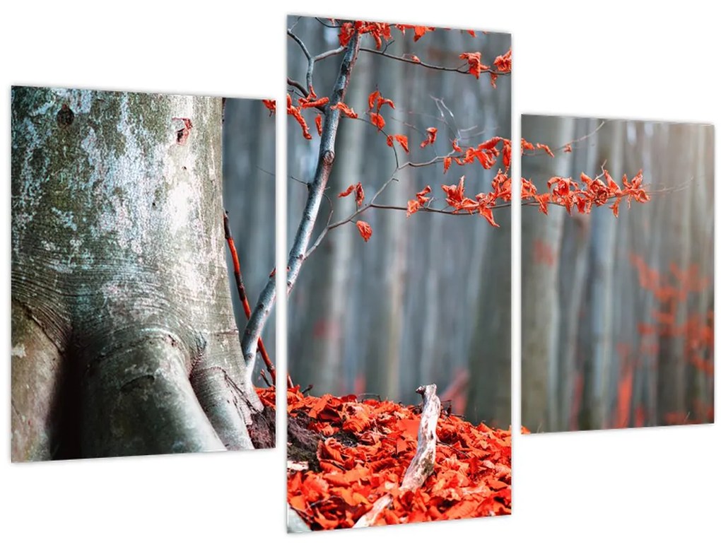 Obraz - Jeseň (90x60 cm)