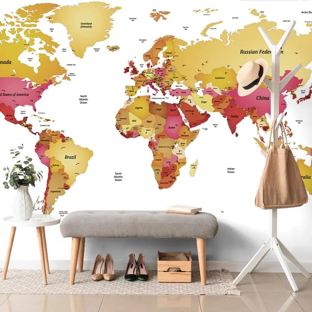 Samolepiaca tapeta mapa sveta vo farbách - 450x300