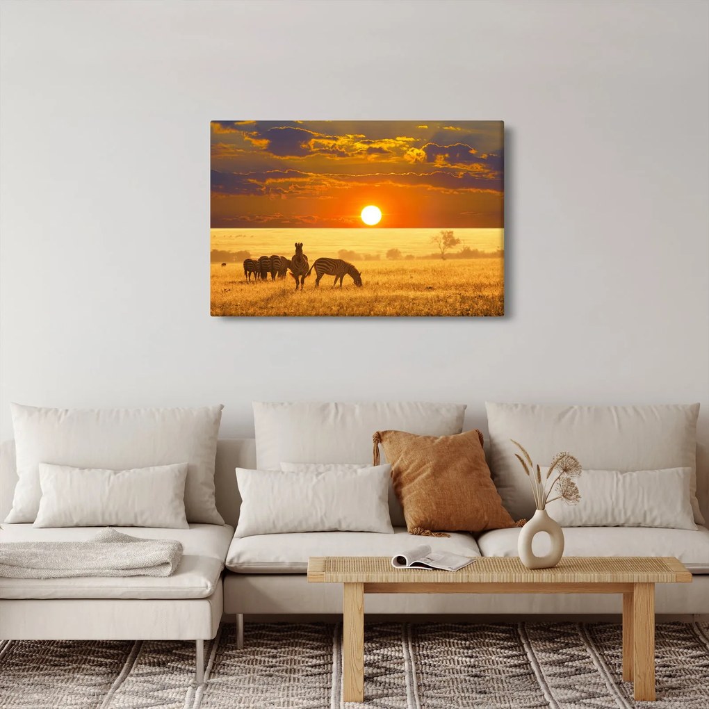 Obraz - Zebry so západom slnka (90x60 cm)