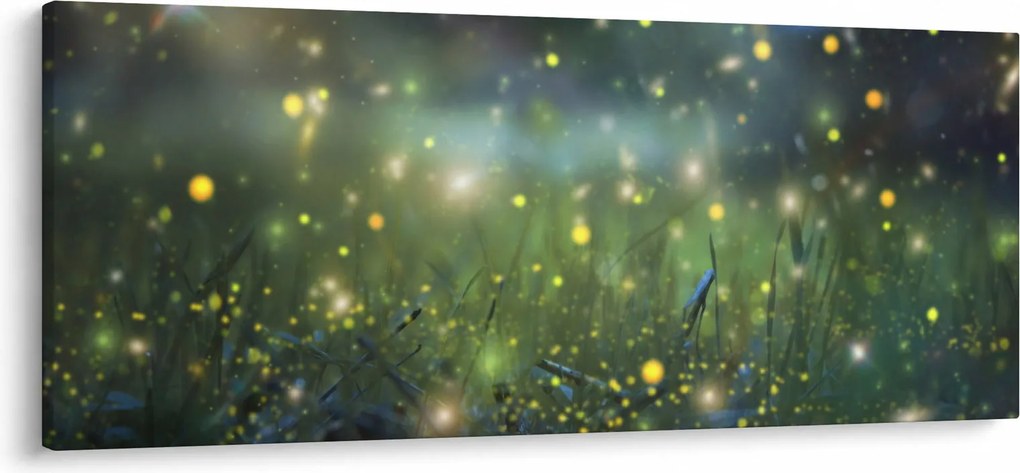 Obraz - Čarovná noc (120x50 cm)