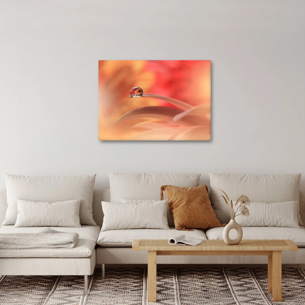 Obraz kvetinové kvapky rosy (70x50 cm)