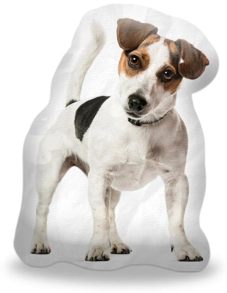 Sablio Polštář 3D Jack russell teriér