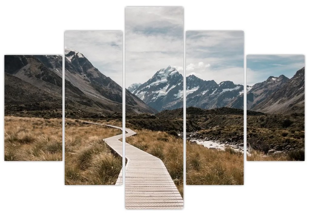 Obraz - Chodník v údolí hory Mt. Cook (150x105 cm)