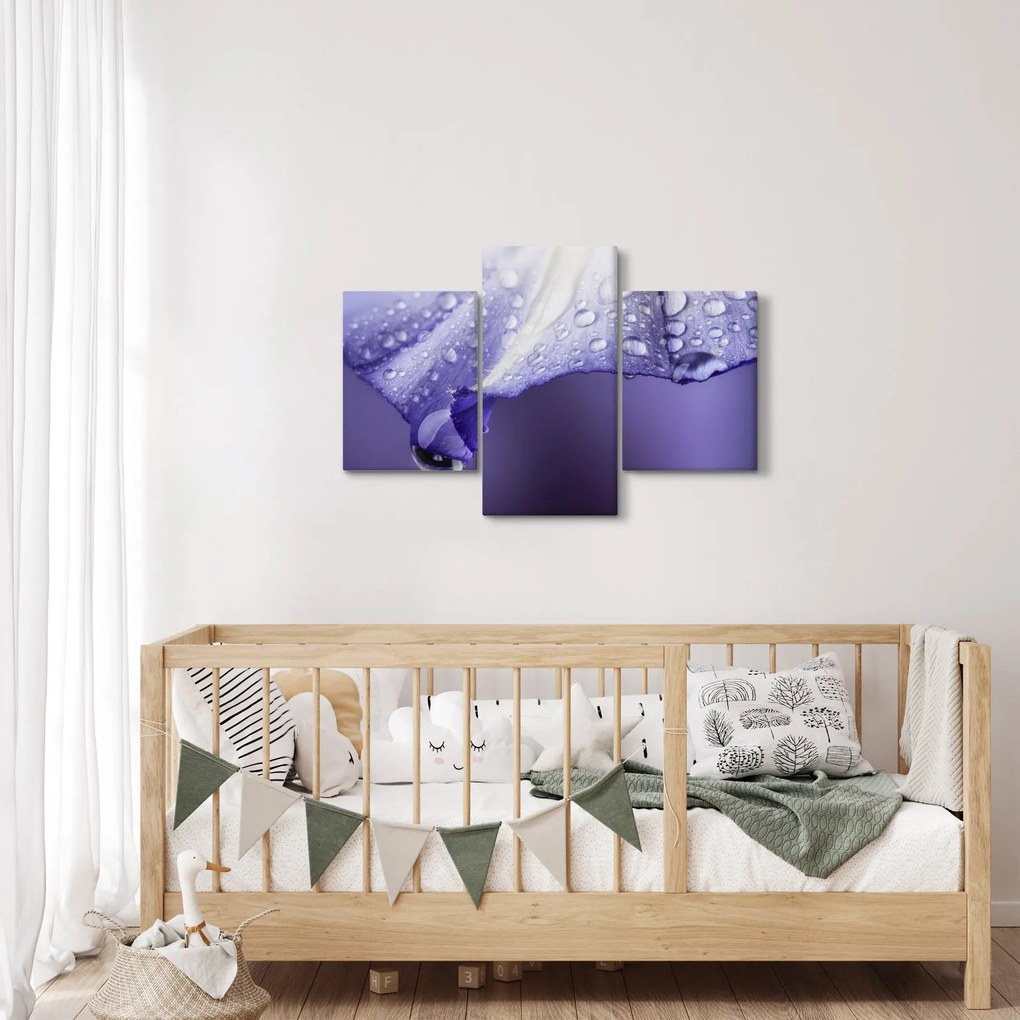 Obraz - Okvetný lístok s kvapkami (90x60 cm)