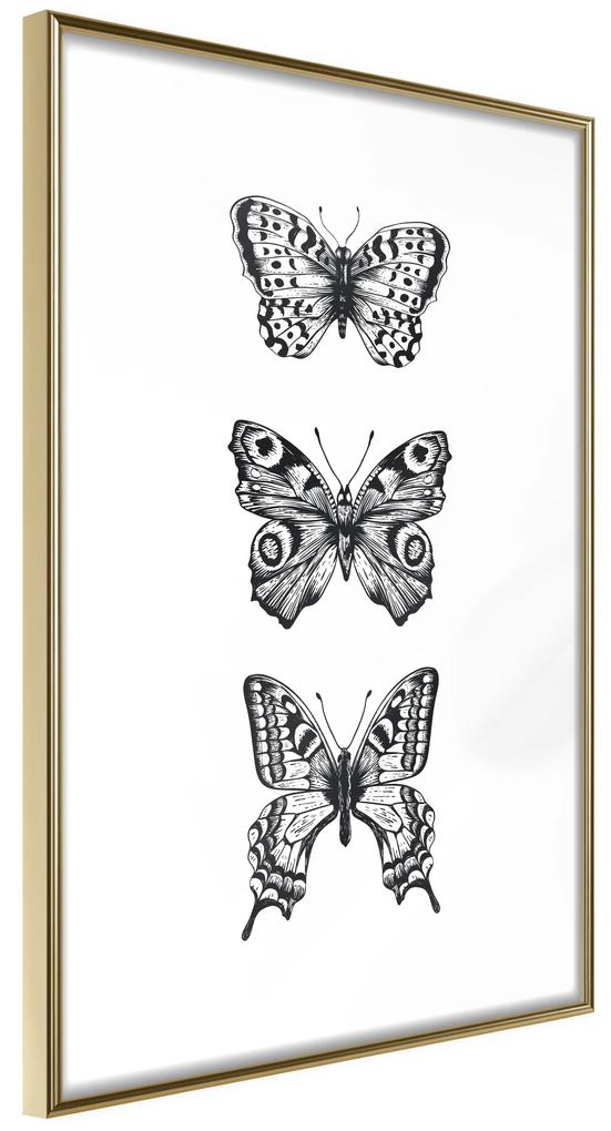 Artgeist Plagát - Three Butterflies [Poster] Veľkosť: 20x30, Verzia: Zlatý rám s passe-partout
