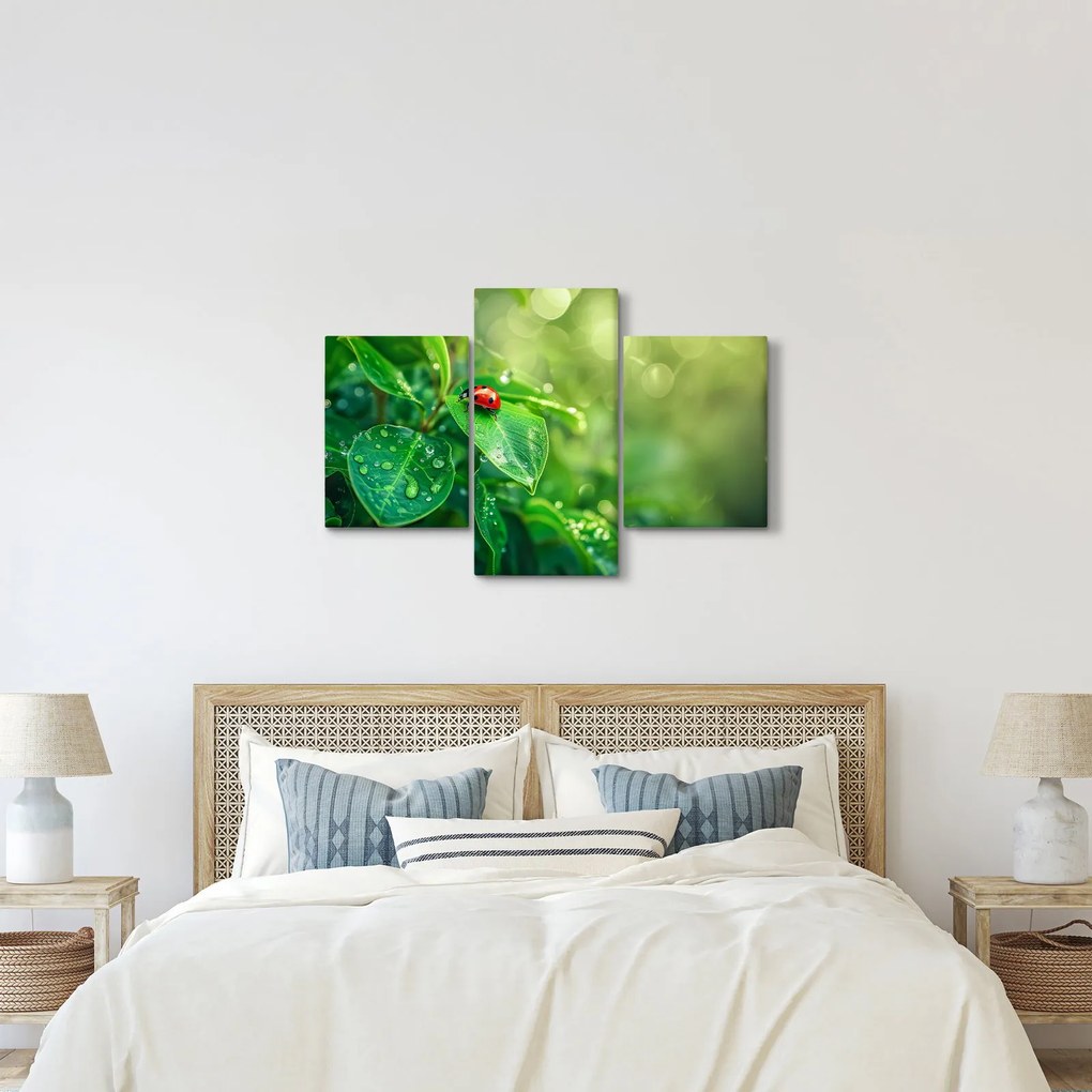 Obraz - Lienka (90x60 cm)
