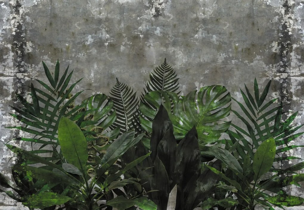 Fototapeta - Betónový múr s rastlinami (147x102 cm)