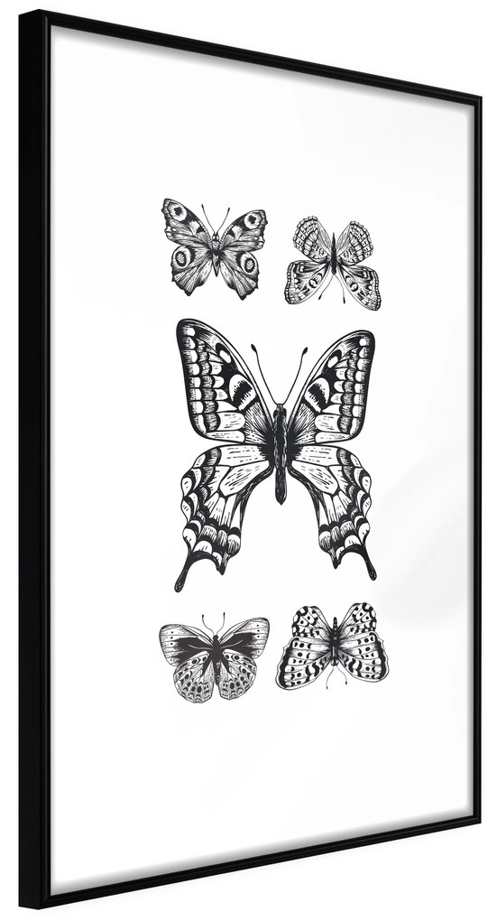 Artgeist Plagát - Five Butterflies [Poster] Veľkosť: 30x45, Verzia: Čierny rám