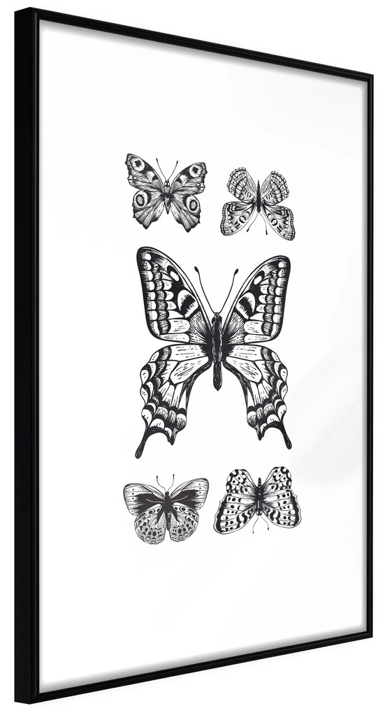 Artgeist Plagát - Five Butterflies [Poster] Veľkosť: 30x45, Verzia: Zlatý rám