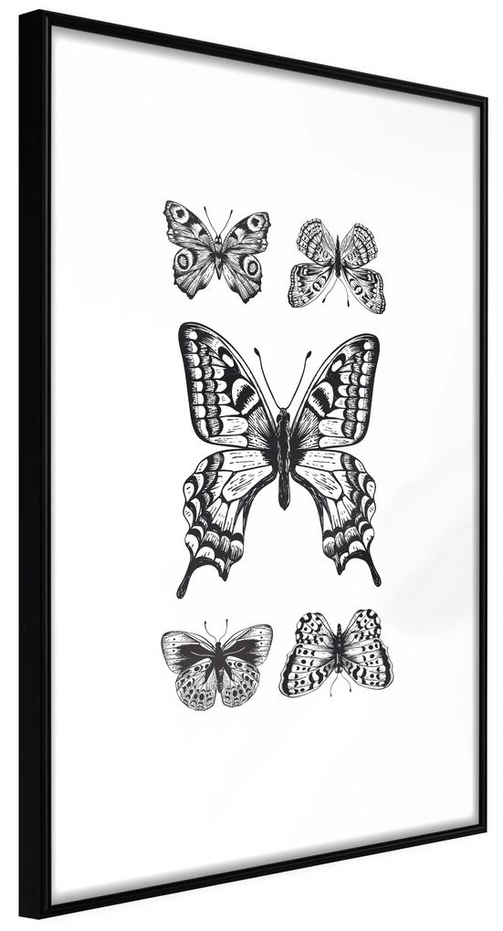 Artgeist Plagát - Five Butterflies [Poster] Veľkosť: 40x60, Verzia: Zlatý rám s passe-partout