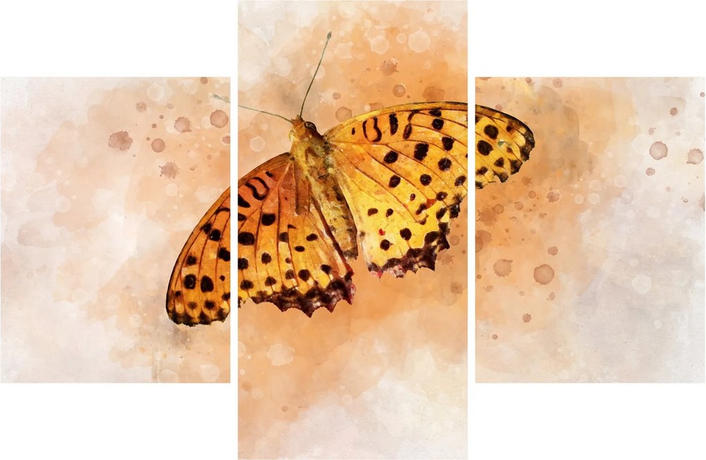 Obraz - Oranžový motýľ, aquarel (90x60 cm)