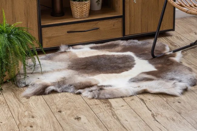 Koberec RENIFER POK019 hnedý